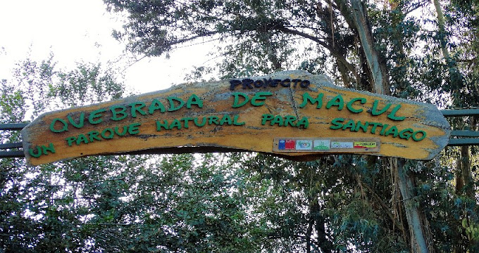 Incendio obliga a cerrar Parque Quebrada de Macul